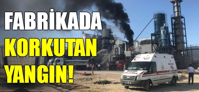Plastik fabrikasında korkutan yangın