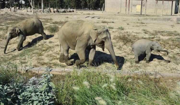 Bir yılda 300 kilo aldı