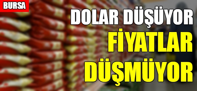 Dolar düşüyor fiyatlar düşmüyor