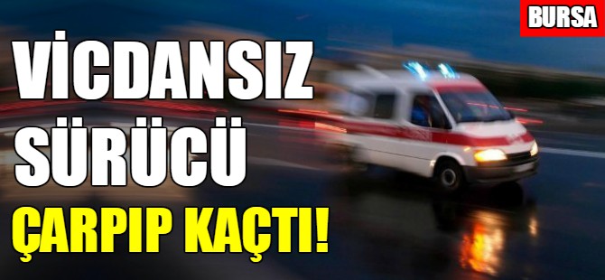 Vicdansız sürücü çarpıp kaçtı!