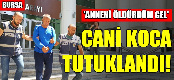 Mudanya'da karısını öldüren adam tutuklandı