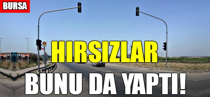 Bursa'da hırsızlar bunu da yaptı