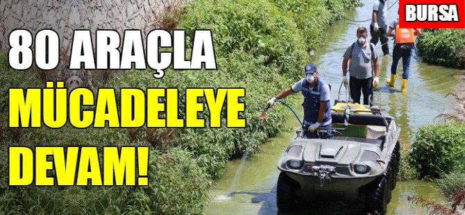 Bursa'da haşereyle mücadele sürüyor