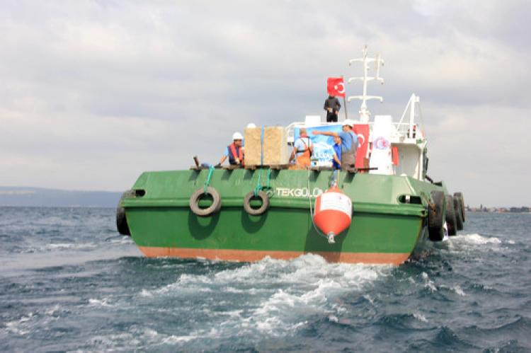 Çanakkale Boğazı'ndaki sert mercanlar koruma altına alındı