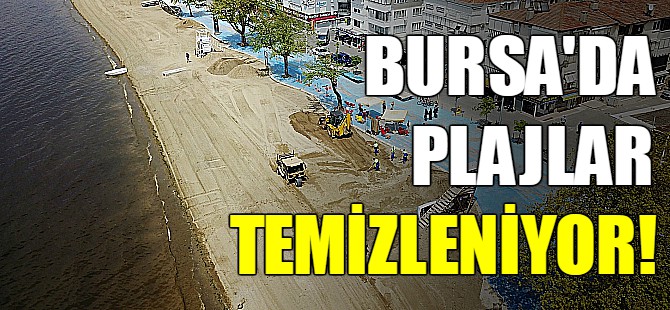Bursa'da yosunlar temizleniyor!
