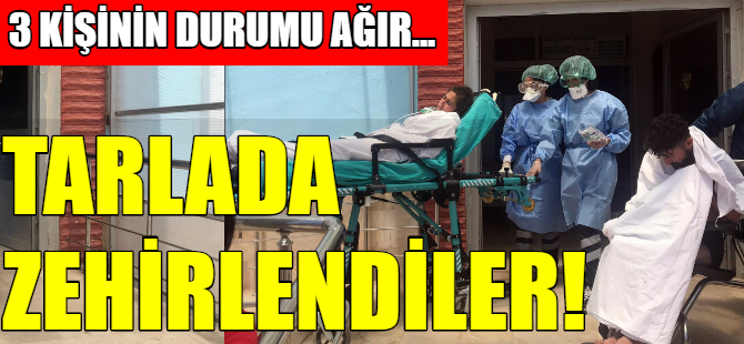 Çapa yaparken zehirlendiler