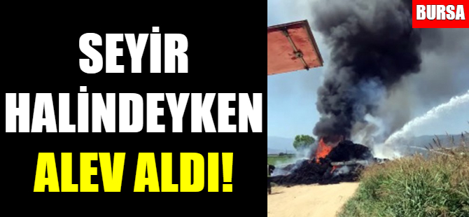 Bursa'da TIR alev topuna döndü
