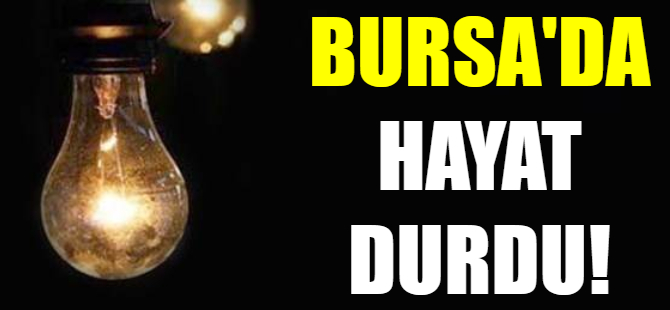 Bursa'da dev kesinti!