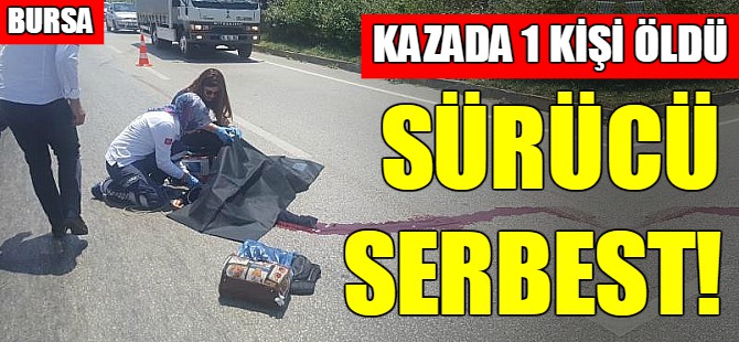 Bursa'da o sürücü serbest!