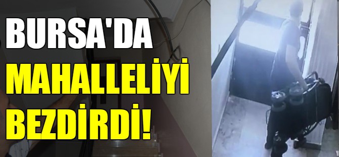 Bursa'da hırsızlar mahalleliyi bezdirdi!