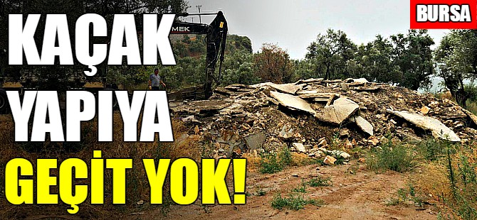 Gemlik’te kaçak yapıya geçit yok