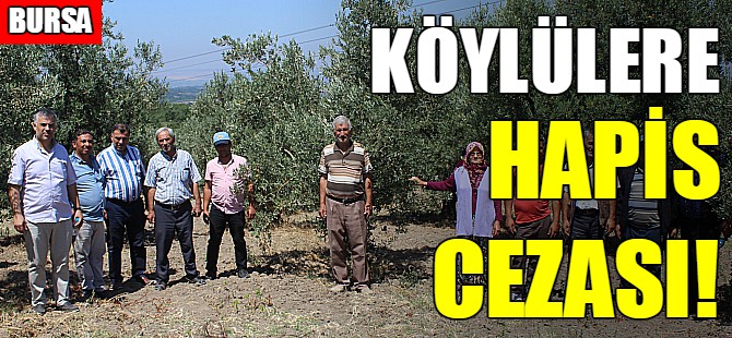 Bursa'da köylülere hapis cezası!