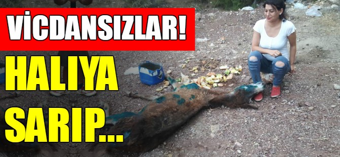 Vicdansızlar! Halıya sarıp...