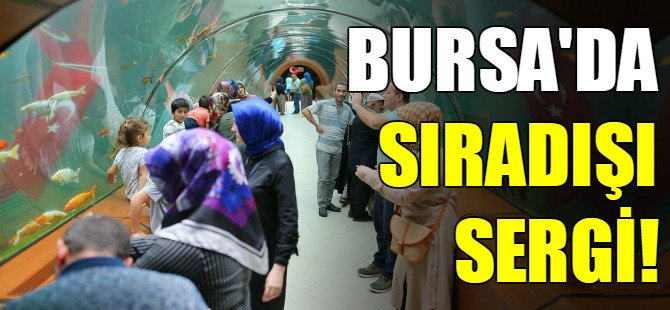 Bursa'da sıradışı sergi!
