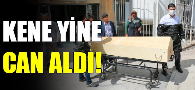 Kene can aldı!