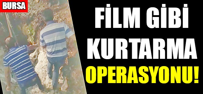 Bursa'da inek kurtarma operasyonu