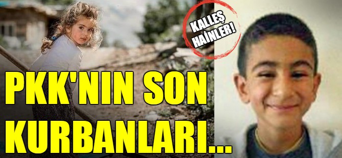 PKK'nın bombası 2 kardeşi öldürdü!