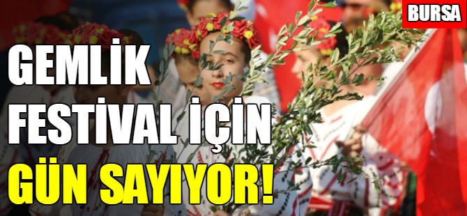 Bursa'da zeytin festivali