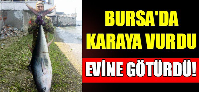 Bursa'da karaya vurdu!
