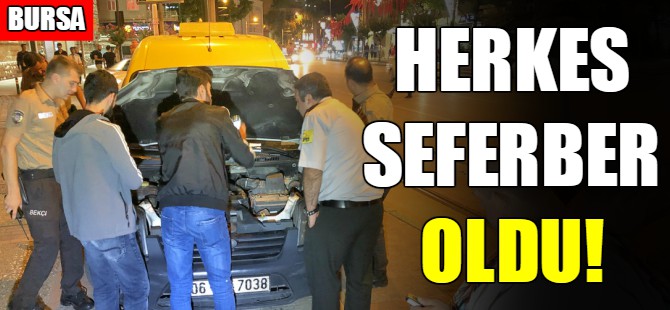 Bursa'da kedi kurtarma operasyonu