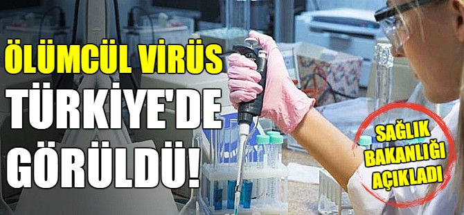Türkiye'de ölümcül virüs görüldü