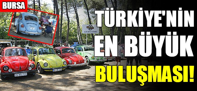 Türkiye’nin en büyük Vosvos buluşması