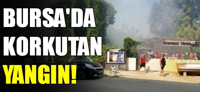 Gemlik’te korkutan yangın