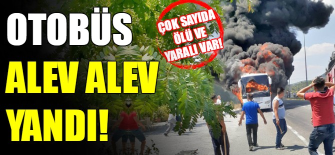 Yolcu otobüsü alev alev yandı!