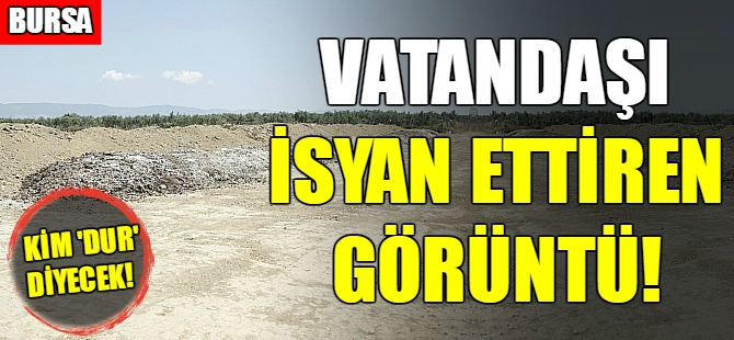 Bursa'da vatandaşı bıktıran görüntü!