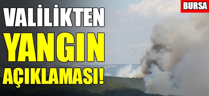 Bursa Valiliği'nden orman yangını açıklaması