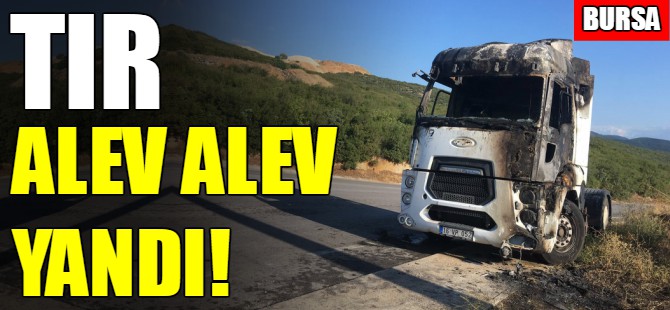 Bursa'da TIR yandı!