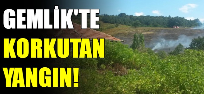 Gemlik'te korkutan yangın!