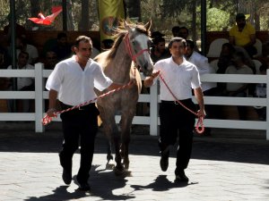 Bursa'da 66 taydan 3 milyon 675 gelir sağlandı!