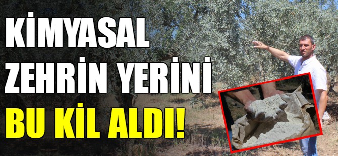 Bursa'da kimyasal ilaç yerine bu kil kullanılıyor!