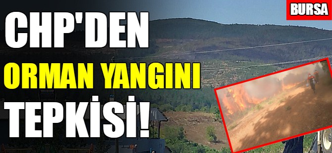 CHP'den Bursa'daki orman yangınlarına tepki!