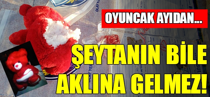 Oyuncak ayıdan bomba çıktı