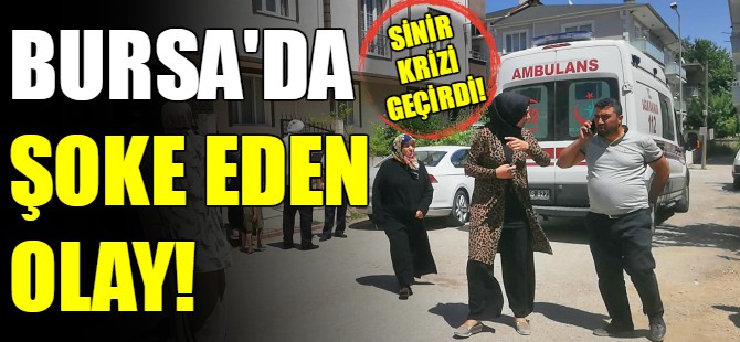 Bursa'da hırsızlık!