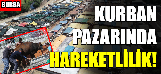 Bursa'da kurban pazarında hareketlilik