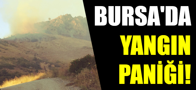 Bursa'da yangın paniği!