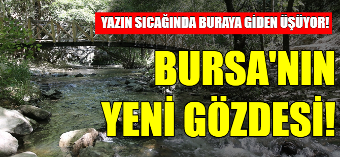 Bursa'da bu kanyona gelenler üşüyor