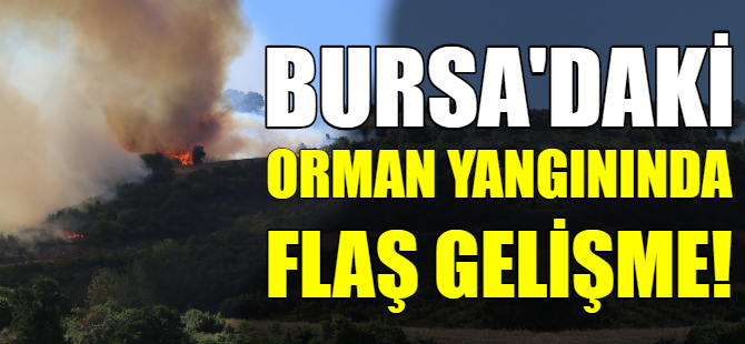 Yenişehir'deki orman yangınında yeni gelişme