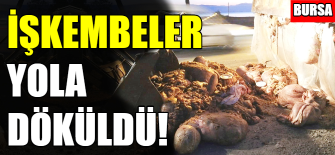 Bursa'da işkembeler yola döküldü