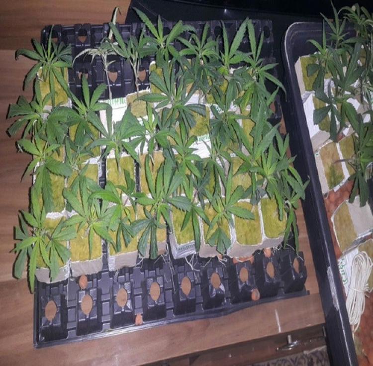 Uyuşturucuda yeni tehlike: Scanc
