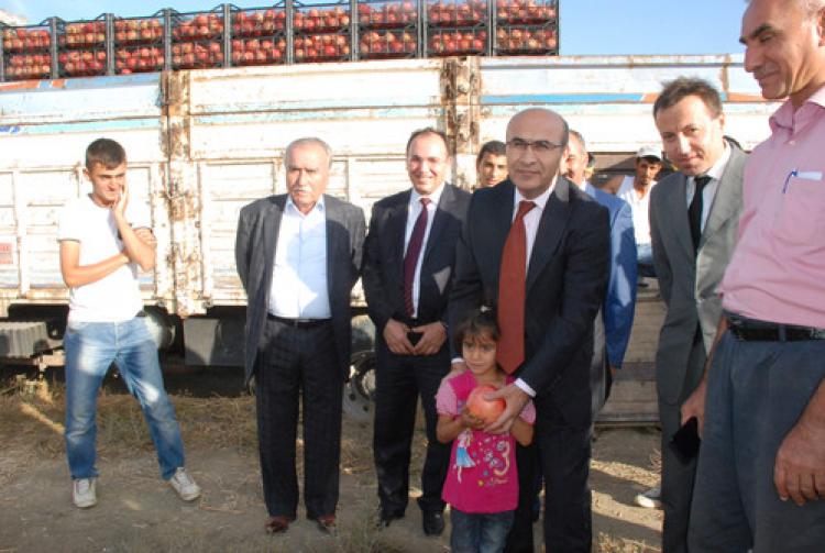 Adıyaman’da nar hasadı başladı