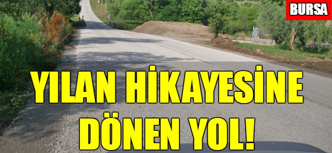 Bursa'da yılan hikayesine dönen yol!