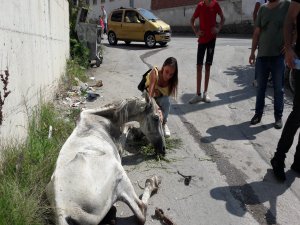 Bursa'da yürek burkan görüntü!