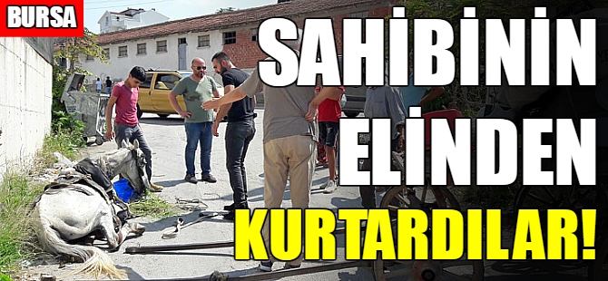 Bursa'da yürek burkan görüntü!