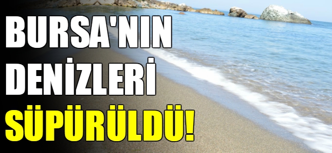 Bursa'nın denizleri süpürüldü!