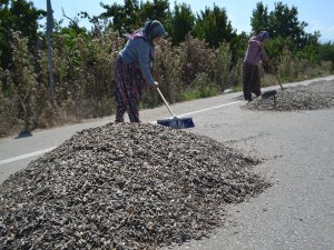 'İnegöl Alası'na polis ve zabıta operasyonu