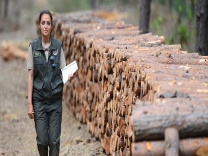 Orman Bakanlığı 5 bin personel alacak